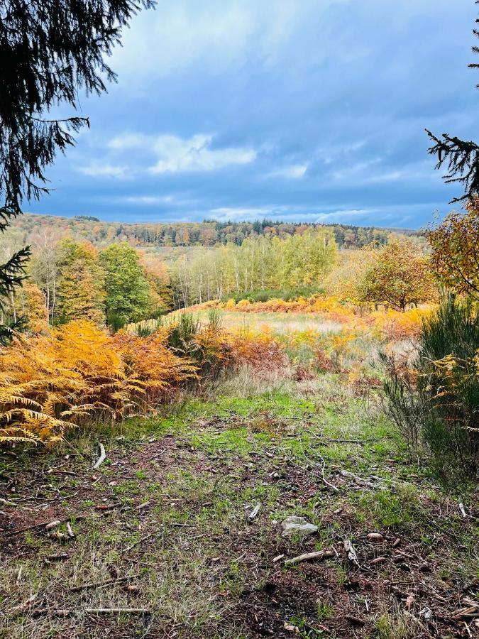 La Petite Passerelle A Mouzaive Vresse-sur-Semois Eksteriør bilde