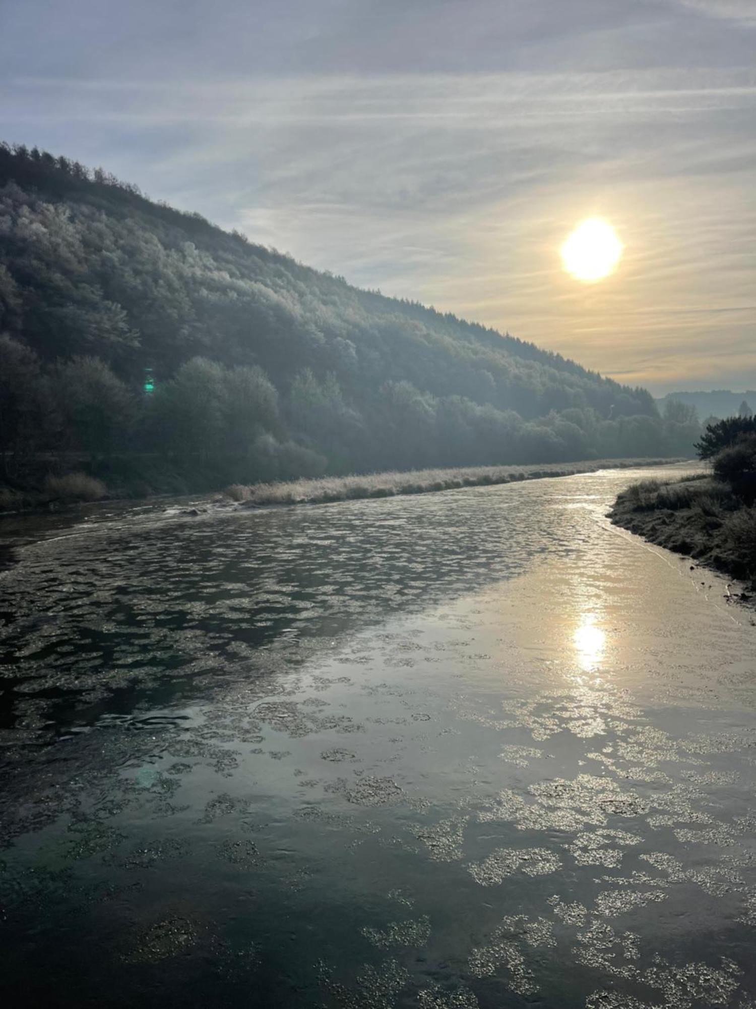 La Petite Passerelle A Mouzaive Vresse-sur-Semois Eksteriør bilde